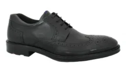 Veterschoenen<Lloyd - F Wijdte - Marian - Uitneembaar voetbed